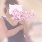 ヒメ日記 2025/09/30 01:05 投稿 なつめ めっちゃスイスク京都店