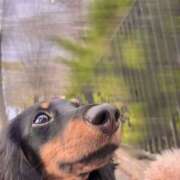 ヒメ日記 2025/09/16 09:06 投稿 友美 モアグループ所沢人妻城