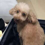 ヒメ日記 2025/09/29 18:57 投稿 友美 モアグループ所沢人妻城