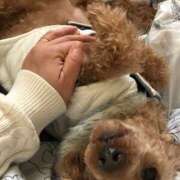 ヒメ日記 2025/11/08 14:12 投稿 友美 モアグループ所沢人妻城