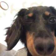 ヒメ日記 2025/11/22 22:18 投稿 友美 モアグループ所沢人妻城