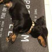 ヒメ日記 2025/12/06 09:36 投稿 友美 モアグループ所沢人妻城