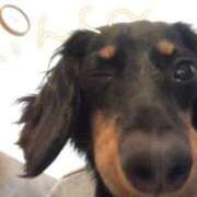 ヒメ日記 2025/12/14 22:06 投稿 友美 モアグループ所沢人妻城