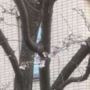 友美 出勤しました🤗 モアグループ所沢人妻城