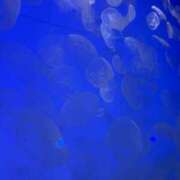 ヒメ日記 2025/11/02 01:12 投稿 月島あかり BaliSpa