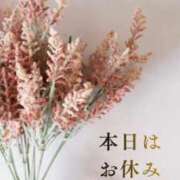 ヒメ日記 2025/11/18 14:55 投稿 さき★(エロエロ素人) ぽっちゃり女神 あぷろでぃーて