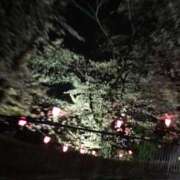 ヒメ日記 2026/04/11 10:18 投稿 さき★(エロエロ素人) ぽっちゃり女神 あぷろでぃーて