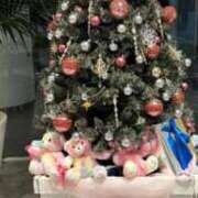 ヒメ日記 2025/12/23 14:22 投稿 りま【ご奉仕大好きド変態美女】 One More 奥様 新宿店