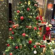 ヒメ日記 2025/12/24 13:02 投稿 りま【ご奉仕大好きド変態美女】 One More 奥様 新宿店