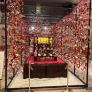 ヒメ日記 2026/03/02 15:32 投稿 りま【ご奉仕大好きド変態美女】 One More 奥様 新宿店