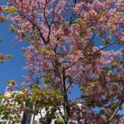 ヒメ日記 2026/03/05 15:42 投稿 りま【ご奉仕大好きド変態美女】 One More 奥様 新宿店