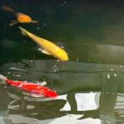 ヒメ日記 2026/03/19 21:13 投稿 りま【ご奉仕大好きド変態美女】 One More 奥様 新宿店