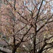 ヒメ日記 2026/03/25 12:22 投稿 りま【ご奉仕大好きド変態美女】 One More 奥様 新宿店