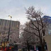 ヒメ日記 2026/03/27 08:42 投稿 りま【ご奉仕大好きド変態美女】 One More 奥様 新宿店