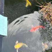 ヒメ日記 2026/04/07 12:05 投稿 りま【ご奉仕大好きド変態美女】 One More 奥様 新宿店