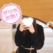 ヒメ日記 2026/05/29 08:42 投稿 りま【ご奉仕大好きド変態美女】 One More 奥様 新宿店