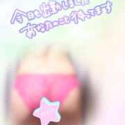 ヒメ日記 2026/02/27 09:39 投稿 奈々 花魁company