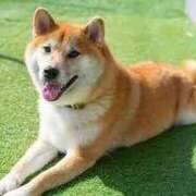 ヒメ日記 2025/09/27 17:36 投稿 渚 クレア Canx2 谷九日本橋店