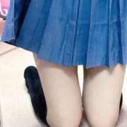 ヒメ日記 2025/10/02 20:11 投稿 ちびうさ 子猫カフェ 小倉店