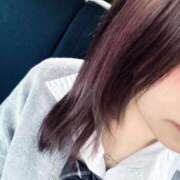 ヒメ日記 2025/12/02 13:21 投稿 ちびうさ 子猫カフェ 小倉店