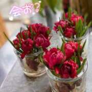 ヒメ日記 2026/01/21 22:46 投稿 山口 萌 Canx2 谷九日本橋店