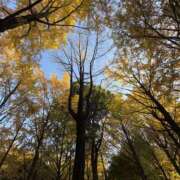 ヒメ日記 2025/12/01 11:03 投稿 びび 東京人妻セレブリティ（ユメオト）