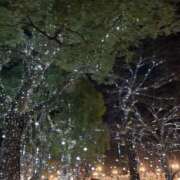 ヒメ日記 2025/12/09 21:14 投稿 びび 東京人妻セレブリティ（ユメオト）