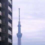 金子　みすず お散歩 しゅうかつ倶楽部