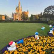 ヒメ日記 2026/03/13 17:14 投稿 かの ラブライフ大宮岩槻店