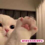 ヒメ日記 2025/09/19 13:01 投稿 にの お姉さんSelect