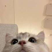 ヒメ日記 2025/09/28 02:26 投稿 にの お姉さんSelect