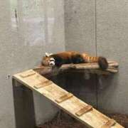 ヒメ日記 2025/10/14 17:36 投稿 にの お姉さんSelect