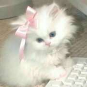 ヒメ日記 2026/02/08 22:26 投稿 にの お姉さんSelect