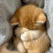 ヒメ日記 2026/02/13 14:06 投稿 にの お姉さんSelect