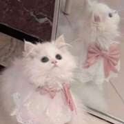 ヒメ日記 2026/02/19 03:36 投稿 にの お姉さんSelect