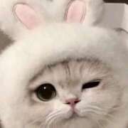 ヒメ日記 2026/02/21 00:16 投稿 にの お姉さんSelect