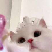 ヒメ日記 2026/02/26 23:16 投稿 にの お姉さんSelect