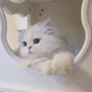 ヒメ日記 2026/02/27 18:36 投稿 にの お姉さんSelect