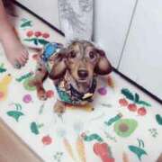 ヒメ日記 2025/09/13 18:43 投稿 三船じゅり ミセス大阪十三店