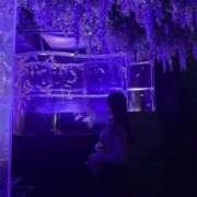 ヒメ日記 2025/11/07 15:01 投稿 白雪ましろ 多恋人倶楽部