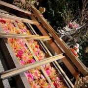 ヒメ日記 2026/01/26 15:01 投稿 白雪ましろ 多恋人倶楽部