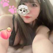 ヒメ日記 2025/10/10 18:03 投稿 まこと Muse（ミューズ）