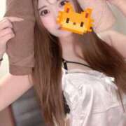 ヒメ日記 2025/10/13 11:32 投稿 まこと Muse（ミューズ）