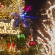 ヒメ日記 2025/12/25 10:21 投稿 南　りの 雫(しずく)