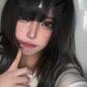 ヒメ日記 2025/10/07 14:54 投稿 しの ふわふわコレクション