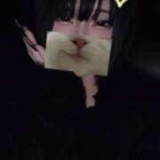 ヒメ日記 2026/01/23 02:34 投稿 しの ふわふわコレクション