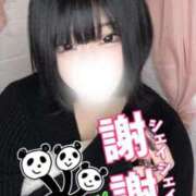 ヒメ日記 2026/01/26 02:24 投稿 しの ふわふわコレクション