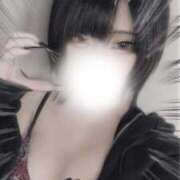 ヒメ日記 2026/02/25 17:05 投稿 しの ふわふわコレクション