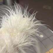 ヒメ日記 2026/01/24 20:12 投稿 みい HAND BITCH(ハンドビッチ)