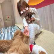 ヒメ日記 2025/09/29 20:18 投稿 かんな ノーパンエステ!?絶頂させる天使たち